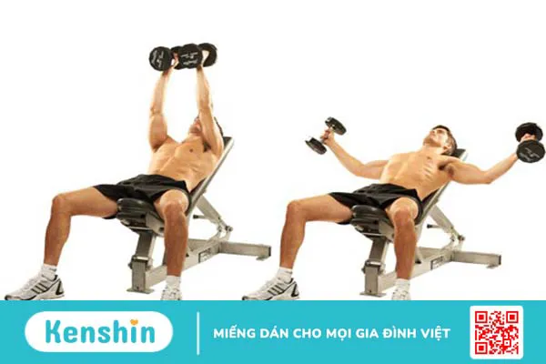 Hướng dẫn thực hiện bài tập Dumbbell Fly