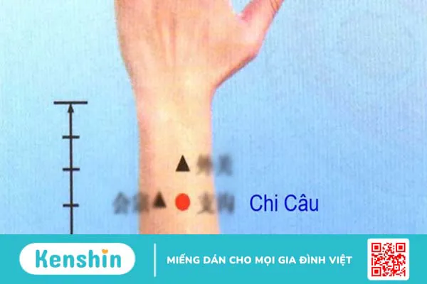 Huyệt Chi Câu là gì? Cách châm cứu huyệt Chi Câu