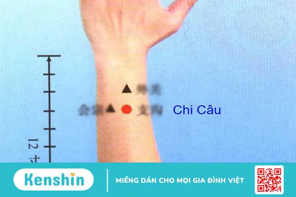 Huyệt Chi Câu là gì? Cách châm cứu huyệt Chi Câu