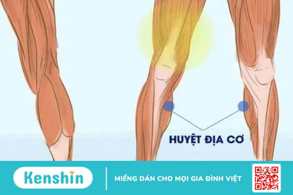 Những thông tin từ A đến Z về huyệt địa cơ 1