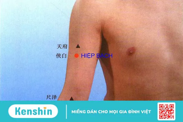 Huyệt Hiệp Bạch - Huyệt vị quan trọng giải quyết nhiều bệnh