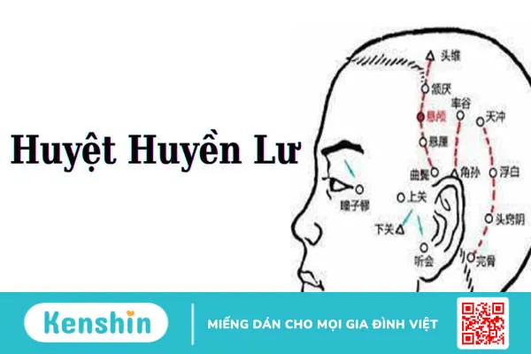 Huyệt Huyền Lư có những tác dụng gì trong cơ thể người?