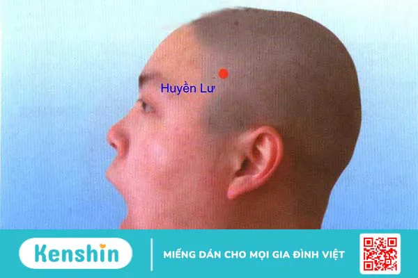 Huyệt Huyền Lư có những tác dụng gì trong cơ thể người?