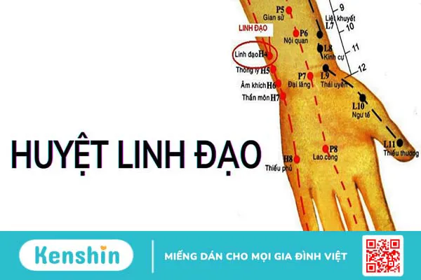 Huyệt Linh Đạo có thể ứng dụng để chữa trị bệnh gì?