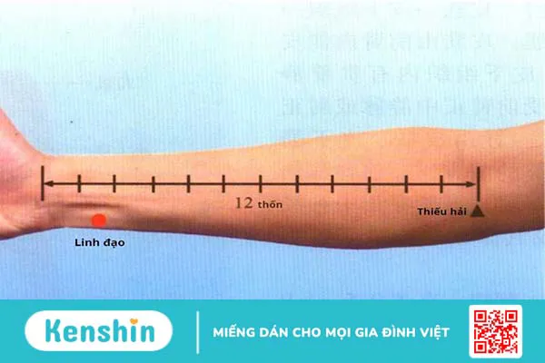 Huyệt Linh Đạo có thể ứng dụng để chữa trị bệnh gì?