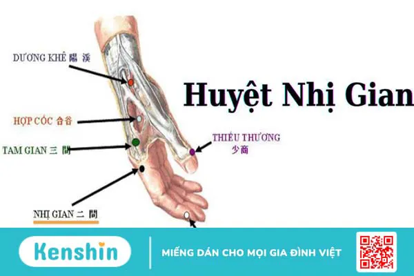 Huyệt Nhị Gian: Vị trí, cách xác định và tác dụng đối với sức khỏe