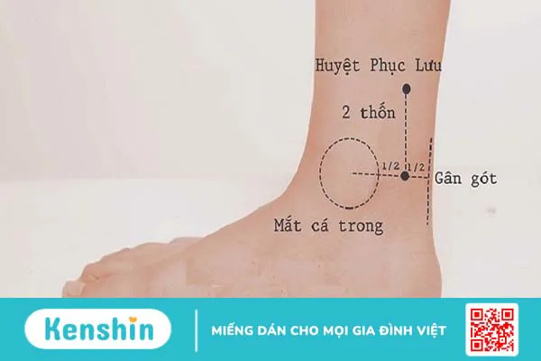 Huyệt Phục Lưu là gì? Vị trí của huyệt Phục Lưu nằm ở đâu?