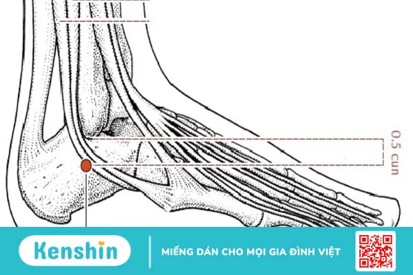 Huyệt thân mạch là huyệt gì? Có nên chữa bệnh bằng cách bấm huyệt?