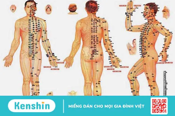 Huyệt thân mạch là huyệt gì? Có nên chữa bệnh bằng cách bấm huyệt?