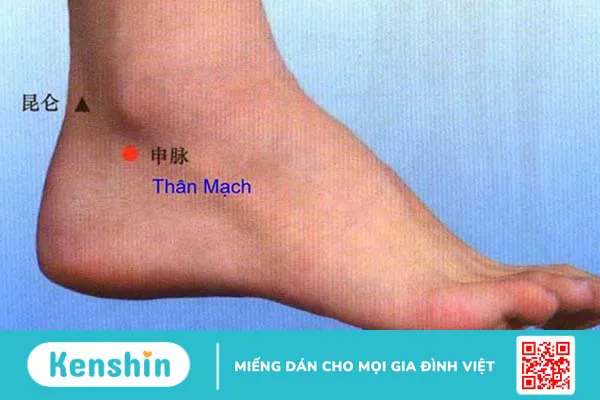 Huyệt thân mạch là huyệt gì? Có nên chữa bệnh bằng cách bấm huyệt?