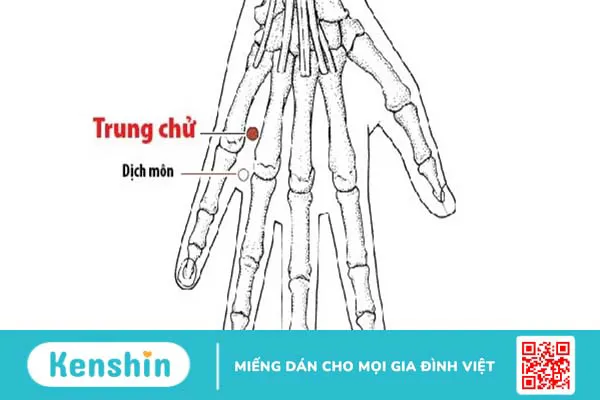 Huyệt trung chủ là huyệt gì? Tác dụng khi bấm huyệt trung chữ