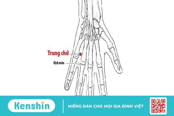 Huyệt trung chữ và những điều cần biết -1