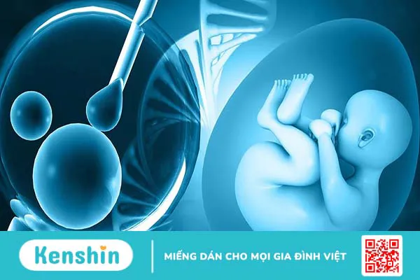 IUI và IVF là gì? Nên lựa chọn phương pháp nào giữa IUI và IVF?