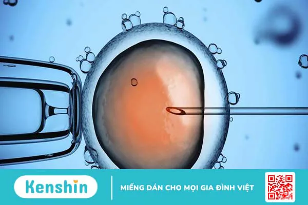 iui-va-ivf-la-gi-nen-lua-chon-phuong-phap-nao-giua-iui-va-ivf 1.webp