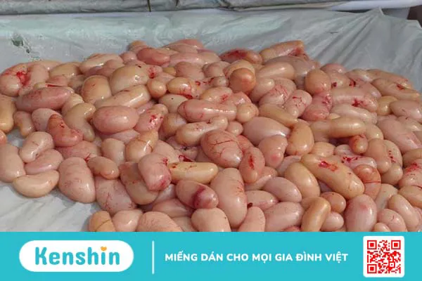 Kê gà có tác dụng gì? Giá trị dinh dưỡng của kê gà