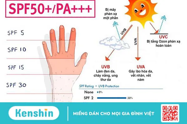 Kem chống nắng Bioderma cho da dầu mụn bảo vệ da trước tia UV
