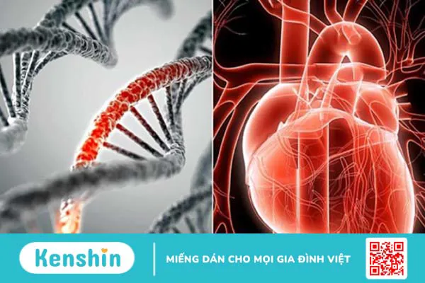 Kênh nhĩ thất được chia làm mấy loại? Các biện pháp phòng ngừa hiệu quả  2