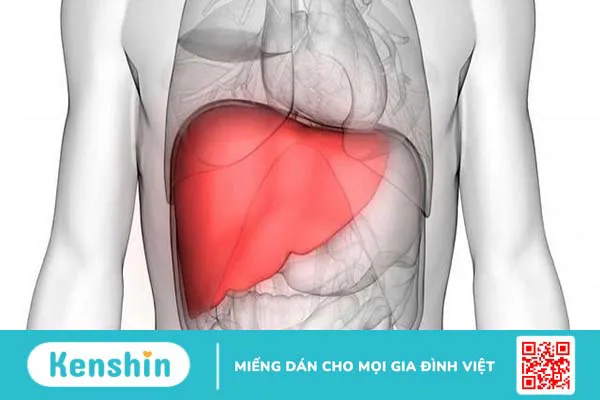 Khám gan là gì? Bao lâu nên khám gan một lần?