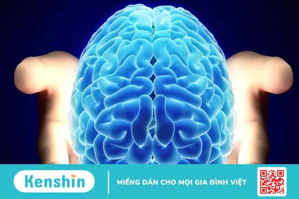 Khám nội thần kinh ở đâu tốt nhất và khi nào nên đi khám?