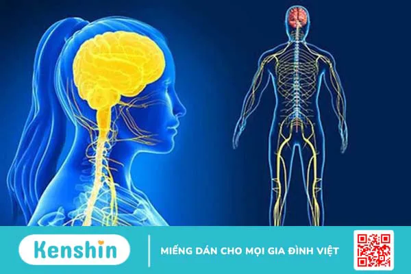 Khám thần kinh diễn ra như thế nào? Khi nào cần khám thần kinh?