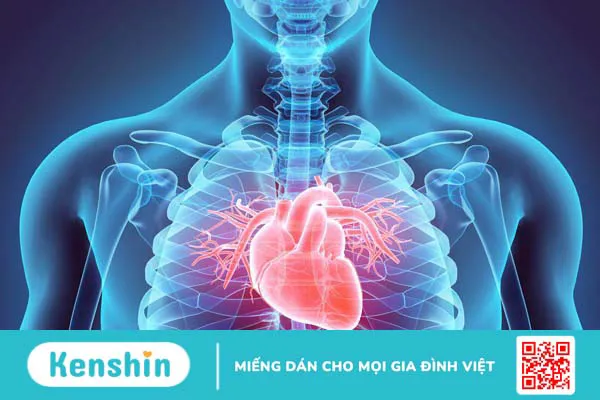 Khám tim mạch diễn ra như thế nào? Khi nào cần khám tim mạch?