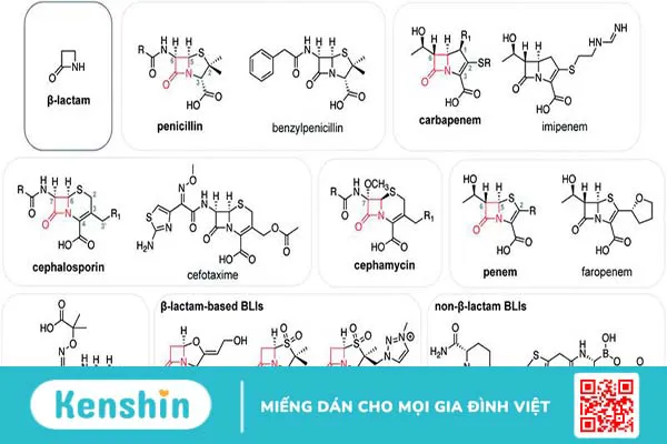 Kháng sinh nhóm Beta Lactam và những thông tin cần biết