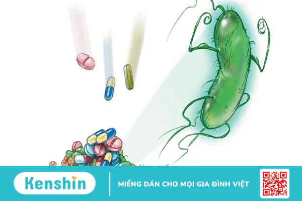 Kháng sinh nhóm Beta Lactam và những thông tin cần biết