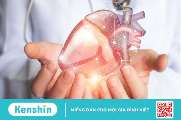 Khiếm khuyết tâm nhĩ là gì? Triệu chứng và cách chẩn đoán