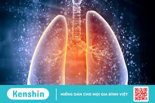 Không có ống dẫn tinh bẩm sinh: Nguyên nhân, biểu hiện và điều trị bệnh