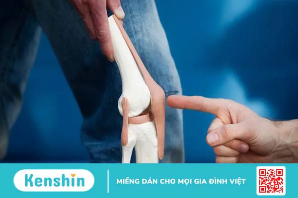 Khớp gối và các vấn đề thường gặp