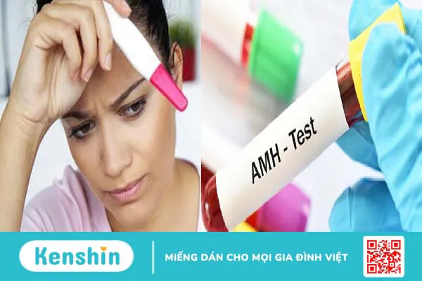 Kinh nguyệt đều nhưng AMH thấp: Nguyên nhân, ảnh hưởng và cách khắc phục