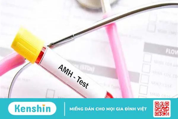 Kinh nguyệt đều nhưng AMH thấp: Nguyên nhân, ảnh hưởng và cách khắc phục 1