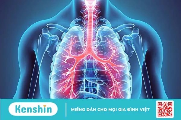 Kỹ thuật dẫn lưu tư thế thực hiện như thế nào?