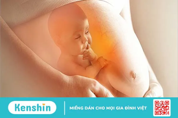 Làm sao để biết thai nhi đang thức hay ngủ trong bụng mẹ?