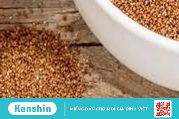 Lợi ích dinh dưỡng từ bột Teff bạn nên biết