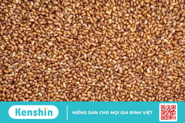 Lợi ích dinh dưỡng từ bột Teff bạn nên biết