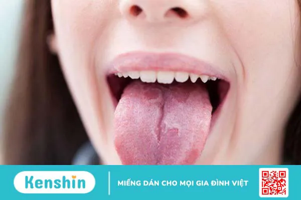 Cấu tạo của lưỡi là gì? Chức năng của lưỡi 4