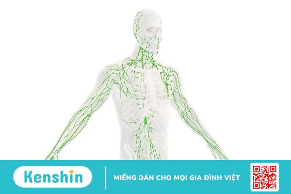 Massage thải độc hệ bạch huyết: Những ai nên thực hiện? 1