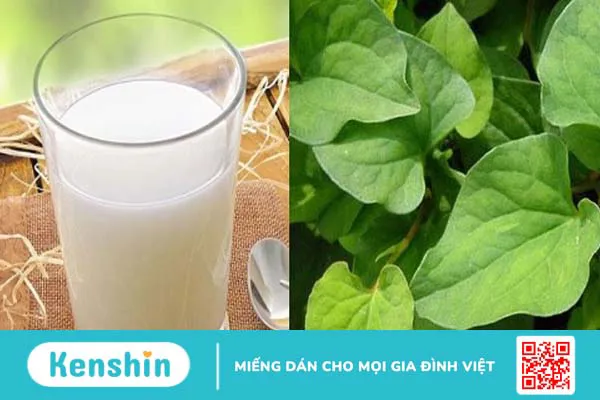 Mặt nạ bột diếp cá sữa tươi: Siêu phẩm cho làn da tươi trẻ và khỏe mạnh