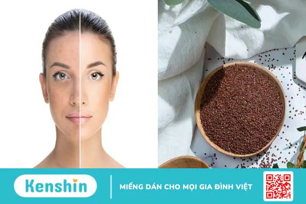 Mặt nạ ngũ hoa đắp mấy lần 1 tuần là tốt nhất?