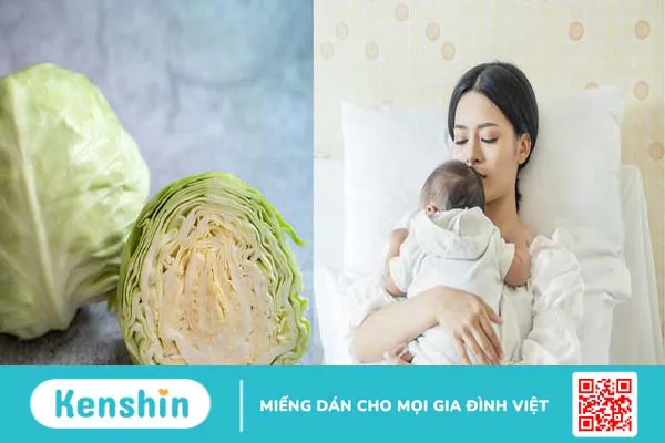 Mẹ sau sinh ăn rau cải có mất sữa không? 2