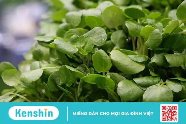 Mẹ sau sinh ăn rau cải có mất sữa không? 4