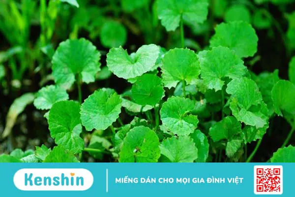 Mẹo trị hóc xương gà hiệu quả tại nhà bạn nên biết