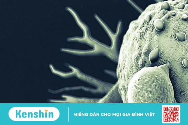 Mối quan hệ giữa oncogene và ung thư di truyền là gì?