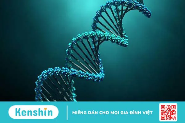 Mối quan hệ giữa oncogene và ung thư di truyền là gì?