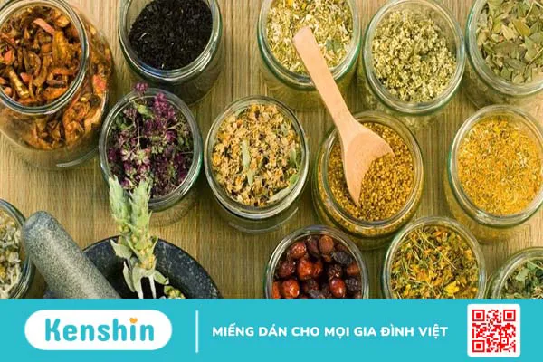 Một số bài thuốc dân gian trị loãng xương bạn có thể tham khảo