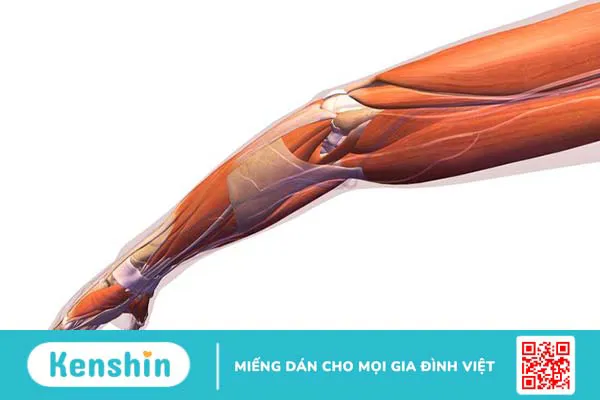 Một số bệnh lý liên quan đến khuỷu tay thường gặp