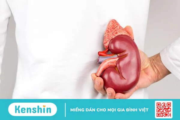 Nang thận bẩm sinh có nguy hiểm không? Cách chữa trị thế nào 2