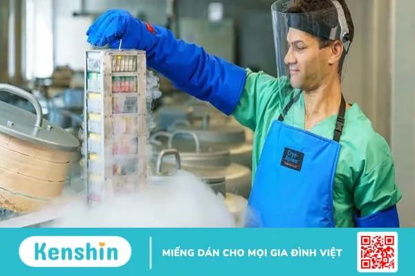 Nên lưu trữ tế bào gốc máu cuống rốn ở đâu?