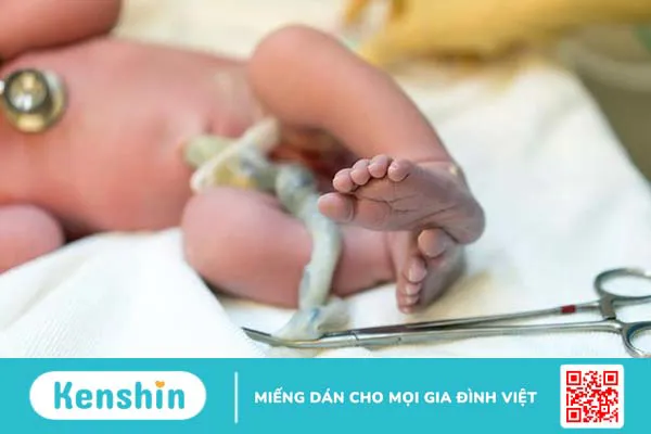 Nên lưu trữ tế bào gốc máu cuống rốn ở đâu 2